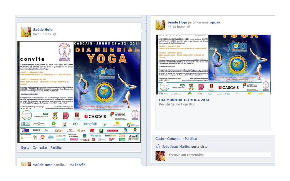 Imprensa - Dia Internacional do Yoga 2014